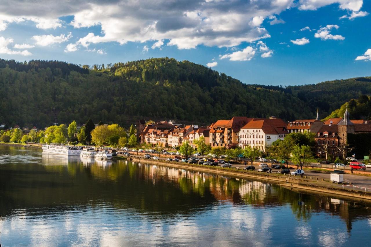 埃伯巴赫Hideaway Im Odenwald Nahe Heidelberg公寓 外观 照片